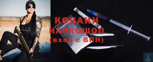 mdpv Богородск