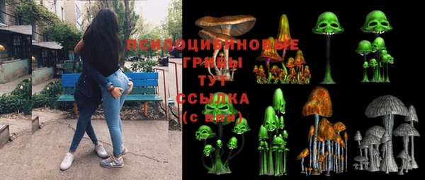 дурь Белокуриха