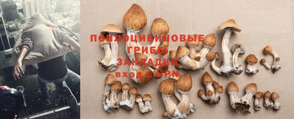 соль курить ск Богданович