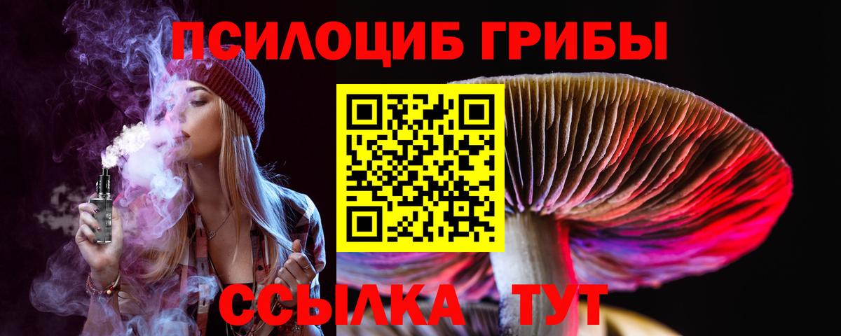 Галлюциногенные грибы Psilocybe  Вход с VPN  Минеральные Воды 